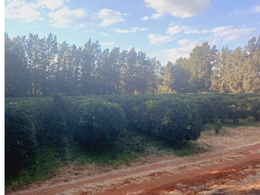 6 Bedroom Property for Sale in Hartswater Northern Cape